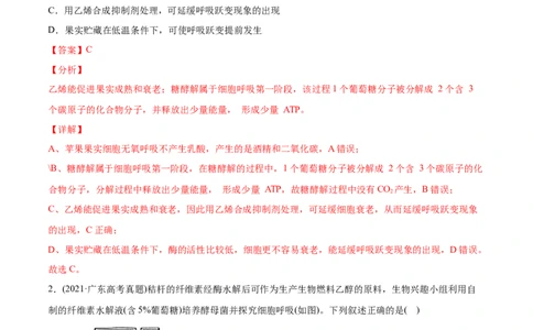 专题03细胞呼吸与光合作用-2021年高考生物真题与模拟题分类训练（教师版含解析）_新高考复习资料_2023年新高考复习资料_一轮复习_2023年新高考大一轮复习讲义