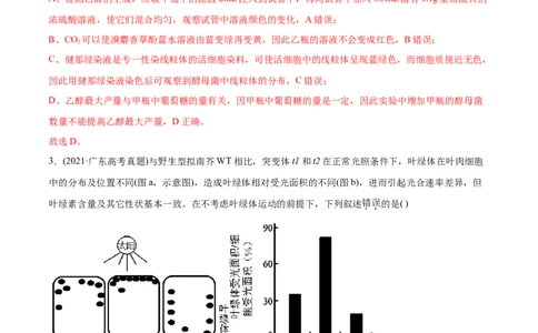专题03细胞呼吸与光合作用-2021年高考生物真题与模拟题分类训练（教师版含解析）_新高考复习资料_2023年新高考复习资料_一轮复习_2023年新高考大一轮复习讲义
