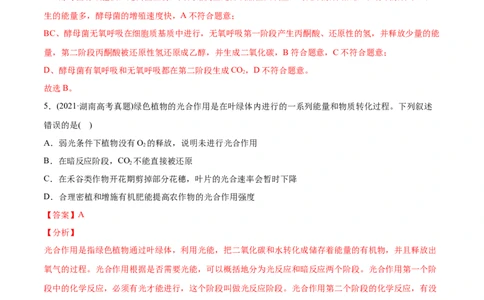专题03细胞呼吸与光合作用-2021年高考生物真题与模拟题分类训练（教师版含解析）_新高考复习资料_2023年新高考复习资料_一轮复习_2023年新高考大一轮复习讲义