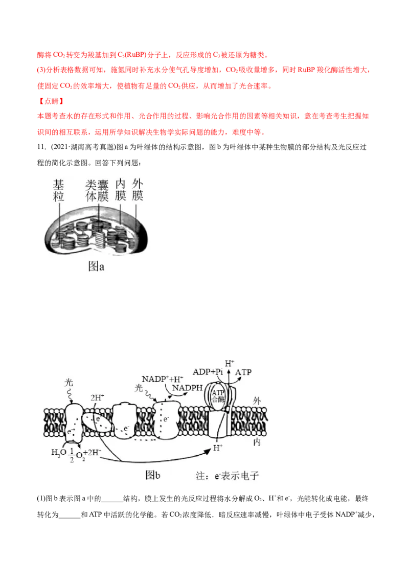 专题03细胞呼吸与光合作用-2021年高考生物真题与模拟题分类训练（教师版含解析）_新高考复习资料_2023年新高考复习资料_一轮复习_2023年新高考大一轮复习讲义