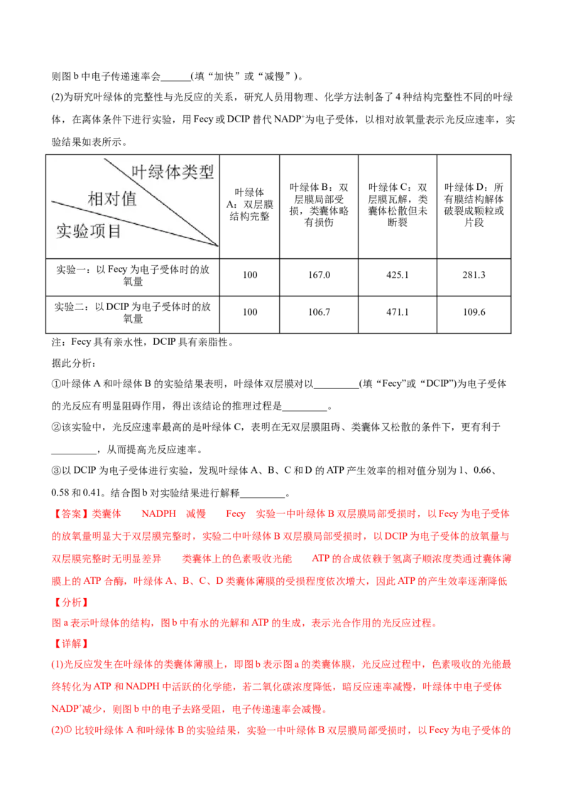 专题03细胞呼吸与光合作用-2021年高考生物真题与模拟题分类训练（教师版含解析）_新高考复习资料_2023年新高考复习资料_一轮复习_2023年新高考大一轮复习讲义