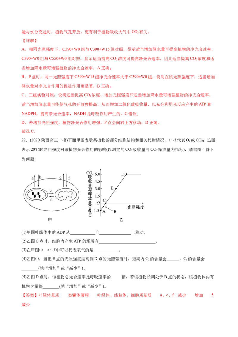 专题03细胞呼吸与光合作用-2021年高考生物真题与模拟题分类训练（教师版含解析）_新高考复习资料_2023年新高考复习资料_一轮复习_2023年新高考大一轮复习讲义