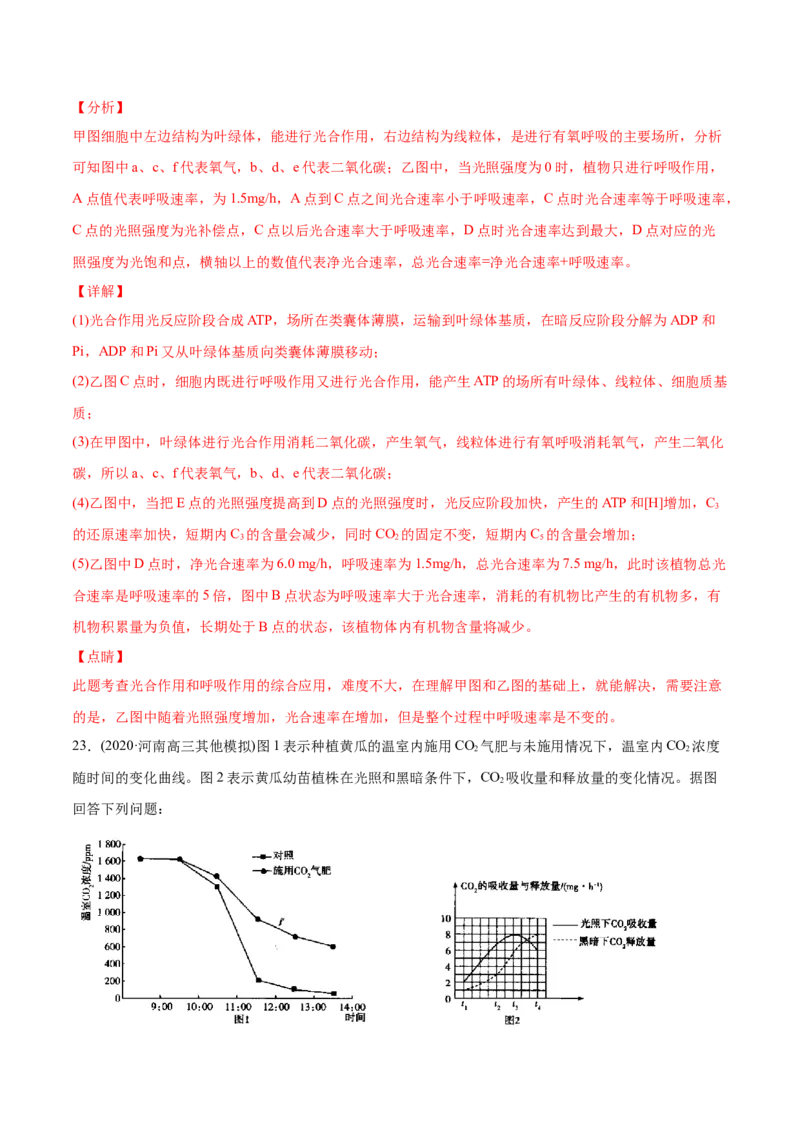 专题03细胞呼吸与光合作用-2021年高考生物真题与模拟题分类训练（教师版含解析）_新高考复习资料_2023年新高考复习资料_一轮复习_2023年新高考大一轮复习讲义