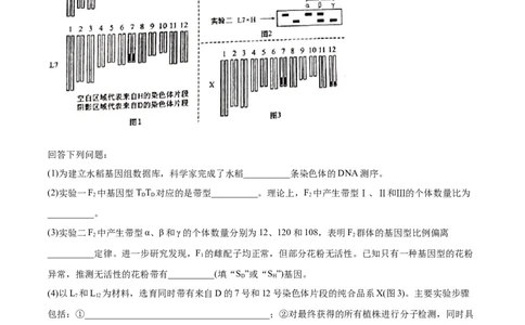 专题07基因的分离定律-2021年高考生物真题与模拟题分类训练（学生版）_新高考复习资料_2023年新高考复习资料_一轮复习_2023年新高考大一轮复习讲义