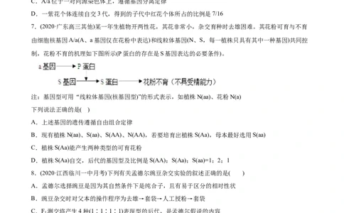 专题07基因的分离定律-2021年高考生物真题与模拟题分类训练（学生版）_新高考复习资料_2023年新高考复习资料_一轮复习_2023年新高考大一轮复习讲义