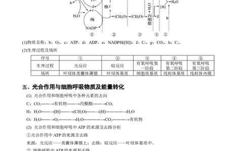 专题02细胞呼吸与光合作用的综合-备战2021年高考生物核心考点透析（原卷版）_新高考复习资料_2021年新高考资料_备战2021年高考生物核心考点透析