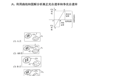 专题02细胞呼吸与光合作用的综合-备战2021年高考生物核心考点透析（原卷版）_新高考复习资料_2021年新高考资料_备战2021年高考生物核心考点透析