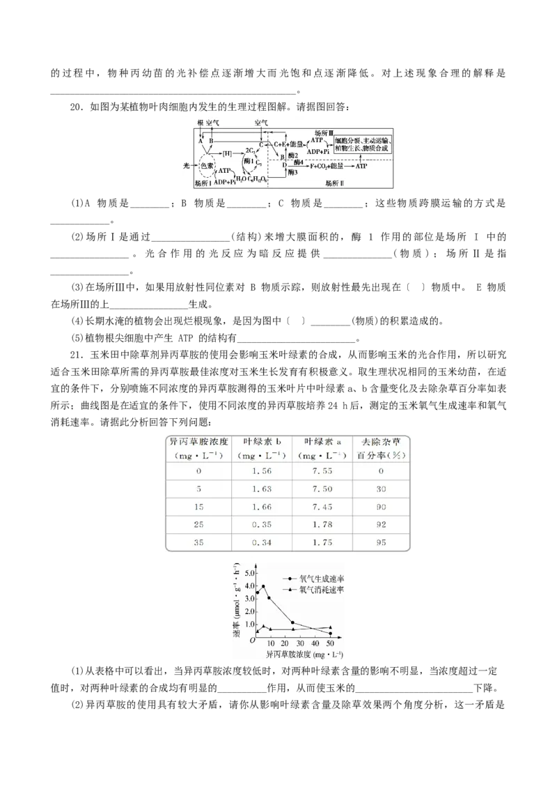 专题02细胞呼吸与光合作用的综合-备战2021年高考生物核心考点透析（原卷版）_新高考复习资料_2021年新高考资料_备战2021年高考生物核心考点透析