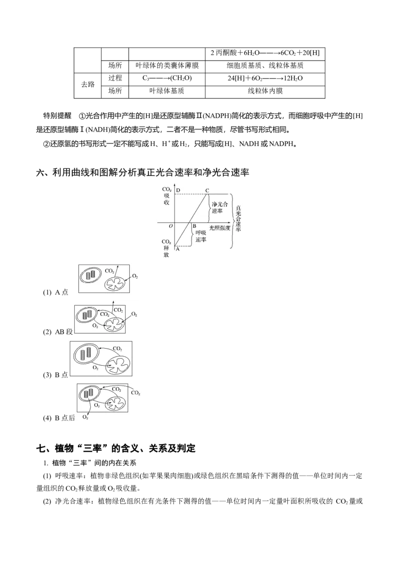 专题02细胞呼吸与光合作用的综合-备战2021年高考生物核心考点透析（原卷版）_新高考复习资料_2021年新高考资料_备战2021年高考生物核心考点透析