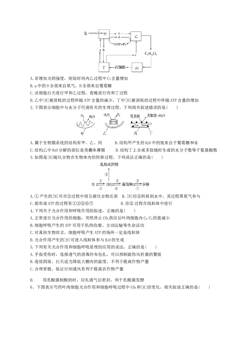 专题02细胞呼吸与光合作用的综合-备战2021年高考生物核心考点透析（原卷版）_新高考复习资料_2021年新高考资料_备战2021年高考生物核心考点透析