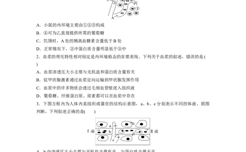 第8单元　课时练1　人体的内环境与稳态_2024年新高考资料_1.2024一轮复习_2024年高考生物一轮复习讲义（新人教版）_学生版在此文件夹_一轮复习69练_第八单元　生命活动的调节