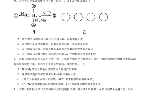 专题01细胞的分子组成、结构和物质运输（分层练）（原卷版）_新高考复习资料_2024年新高考复习资料_二轮复习资料_分层练