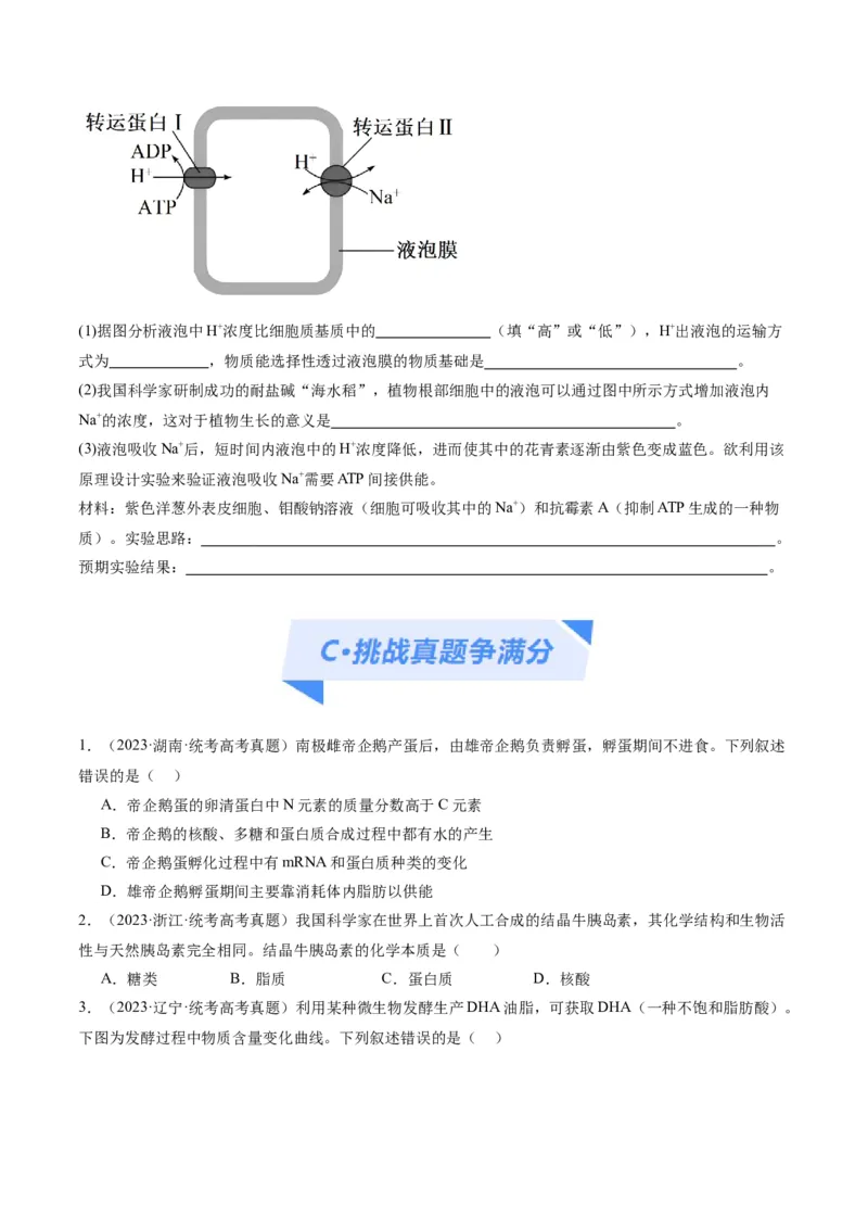 专题01细胞的分子组成、结构和物质运输（分层练）（原卷版）_新高考复习资料_2024年新高考复习资料_二轮复习资料_分层练