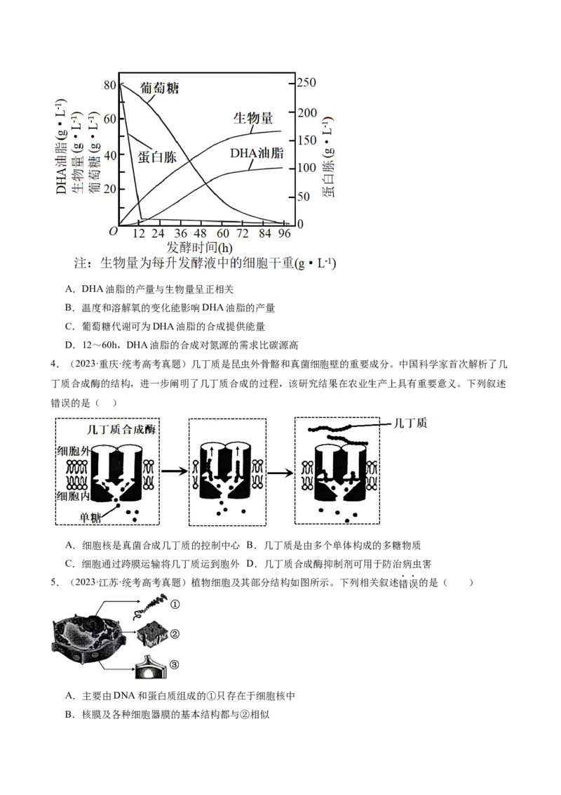 专题01细胞的分子组成、结构和物质运输（分层练）（原卷版）_新高考复习资料_2024年新高考复习资料_二轮复习资料_分层练