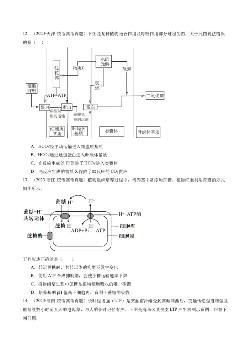 专题01细胞的分子组成、结构和物质运输（分层练）（原卷版）_新高考复习资料_2024年新高考复习资料_二轮复习资料_分层练