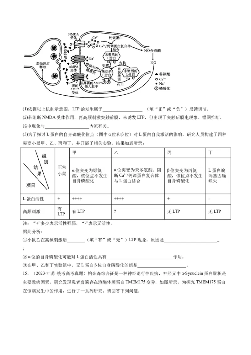 专题01细胞的分子组成、结构和物质运输（分层练）（原卷版）_新高考复习资料_2024年新高考复习资料_二轮复习资料_分层练