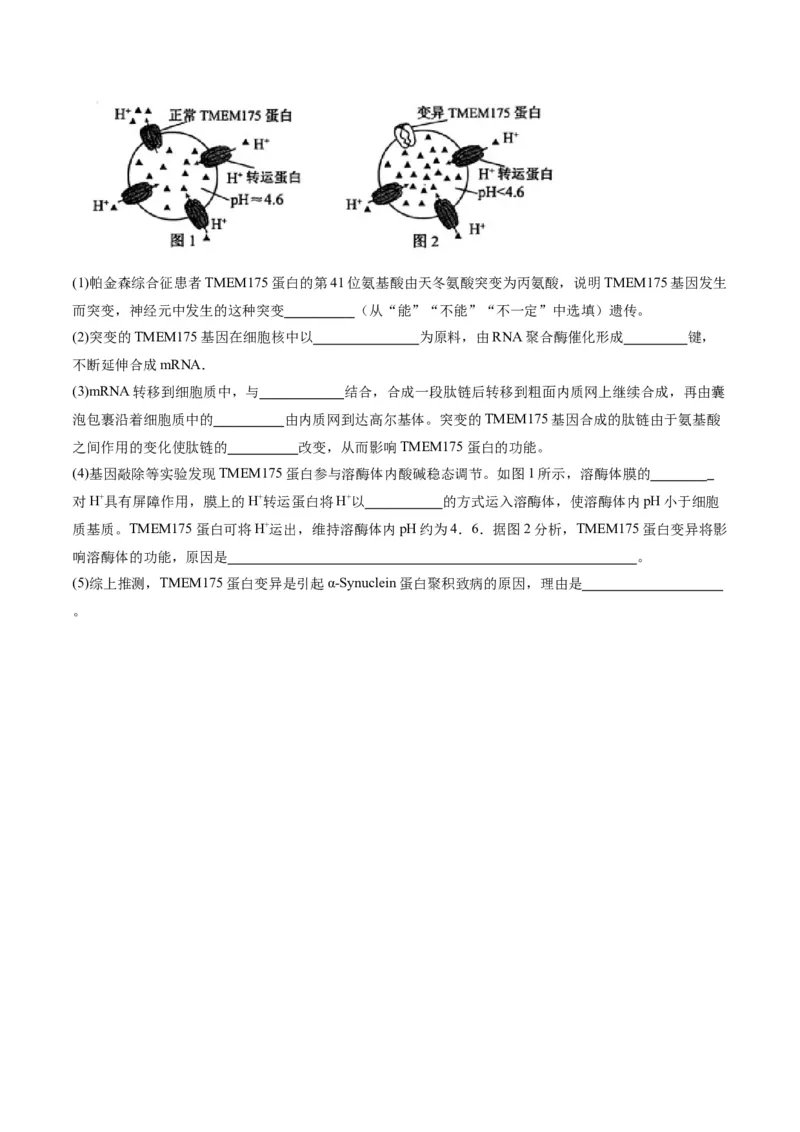 专题01细胞的分子组成、结构和物质运输（分层练）（原卷版）_新高考复习资料_2024年新高考复习资料_二轮复习资料_分层练