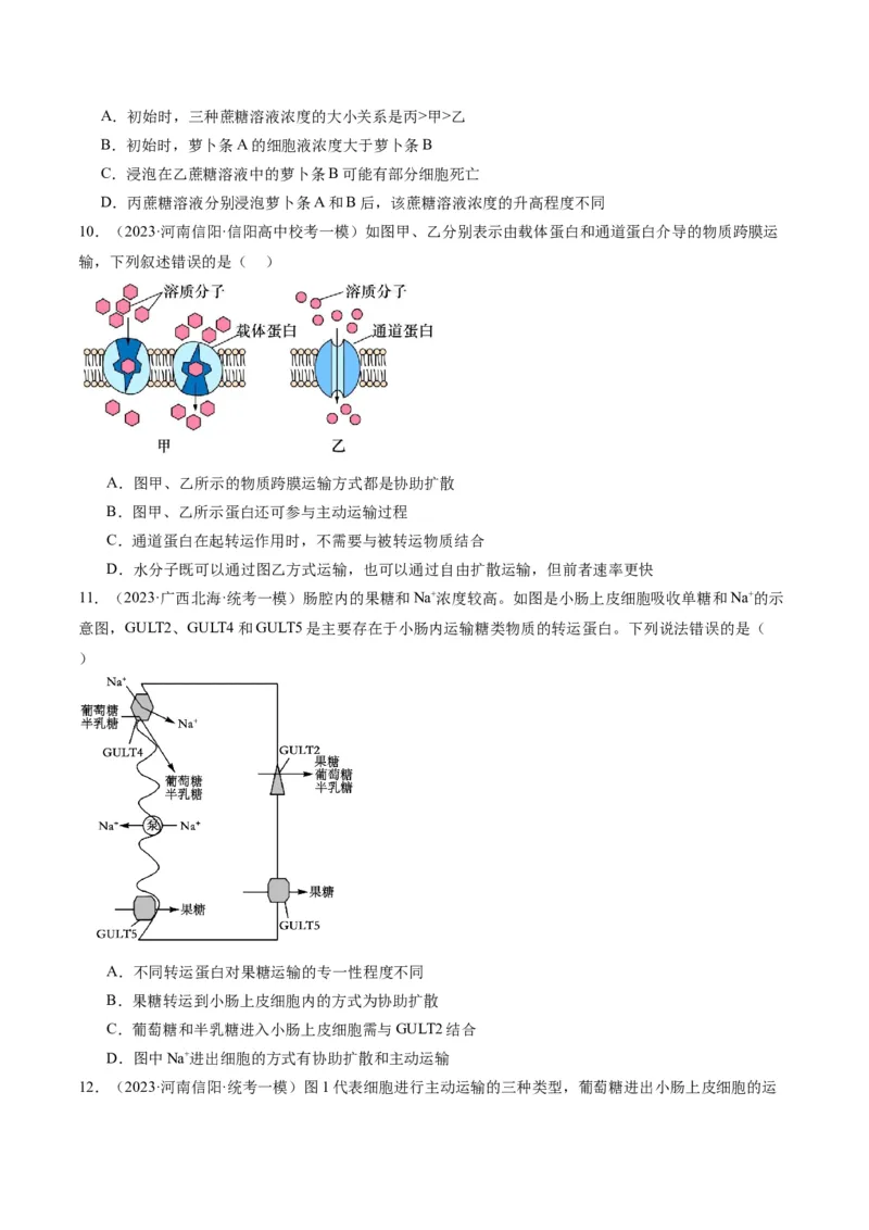 专题01细胞的分子组成、结构和物质运输（分层练）（原卷版）_新高考复习资料_2024年新高考复习资料_二轮复习资料_分层练