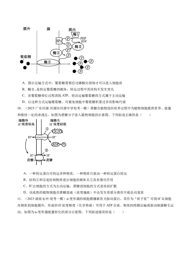 专题01细胞的分子组成、结构和物质运输（分层练）（原卷版）_新高考复习资料_2024年新高考复习资料_二轮复习资料_分层练