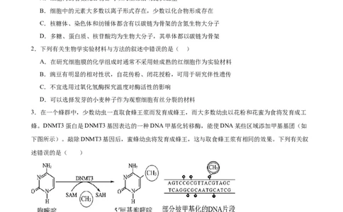 黄金卷01（考试版）-赢在高考&middot;黄金8卷备战2024年高考生物模拟卷（天津专用）_2024年新高考资料_4.2024高考模拟预测试卷