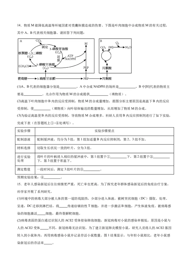 黄金卷01（考试版）-赢在高考&middot;黄金8卷备战2024年高考生物模拟卷（天津专用）_2024年新高考资料_4.2024高考模拟预测试卷