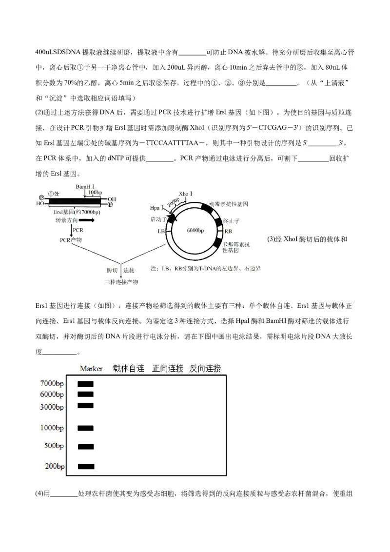 黄金卷01（考试版）-赢在高考&middot;黄金8卷备战2024年高考生物模拟卷（天津专用）_2024年新高考资料_4.2024高考模拟预测试卷