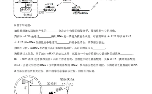 考点通关卷22基因的表达、基因与性状的关系（原卷版）_2024年新高考资料_1.2024一轮复习_2024年高考生物一轮复习考点通关卷（新高考通用）