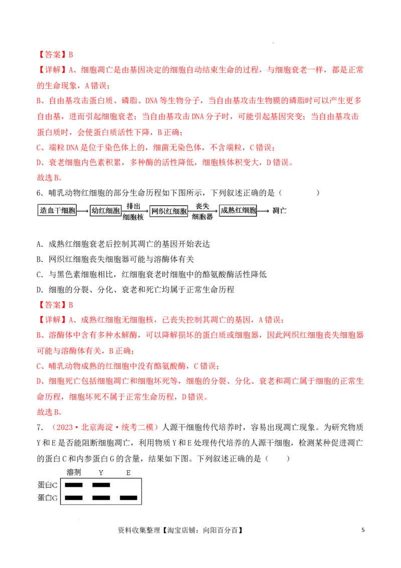专题05细胞的生命历程（包括减数分裂）（解析版）_新高考复习资料_2024年新高考复习资料_一轮复习资料_完备战2024年高考生物一轮复习重难点突破讲解与训练（新教材）