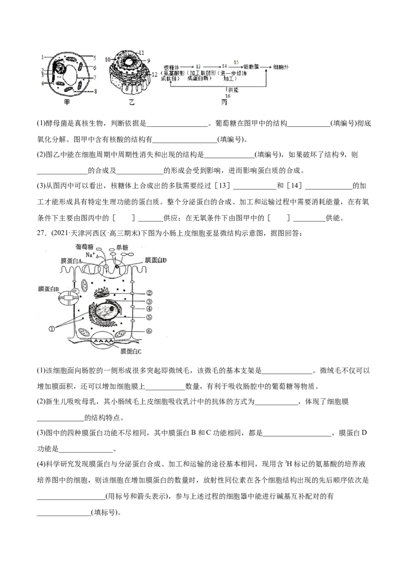 专题01细胞的结构与分子组成-2021年高考生物真题与模拟题分类训练（学生版）_新高考复习资料_2023年新高考复习资料_一轮复习_2023年新高考大一轮复习讲义