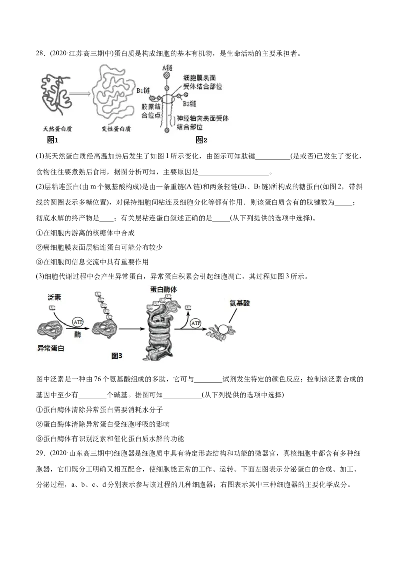 专题01细胞的结构与分子组成-2021年高考生物真题与模拟题分类训练（学生版）_新高考复习资料_2023年新高考复习资料_一轮复习_2023年新高考大一轮复习讲义