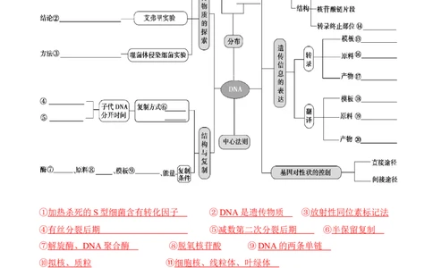 专题05遗传的分子基础（讲义）（解析版）_新高考复习资料_2024年新高考复习资料_二轮复习资料_高频考点解密2024年高考生物二轮复习高频考点追踪与预测（新高考专用）_讲义