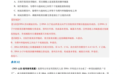 专题05遗传的分子基础（讲义）（解析版）_新高考复习资料_2024年新高考复习资料_二轮复习资料_高频考点解密2024年高考生物二轮复习高频考点追踪与预测（新高考专用）_讲义