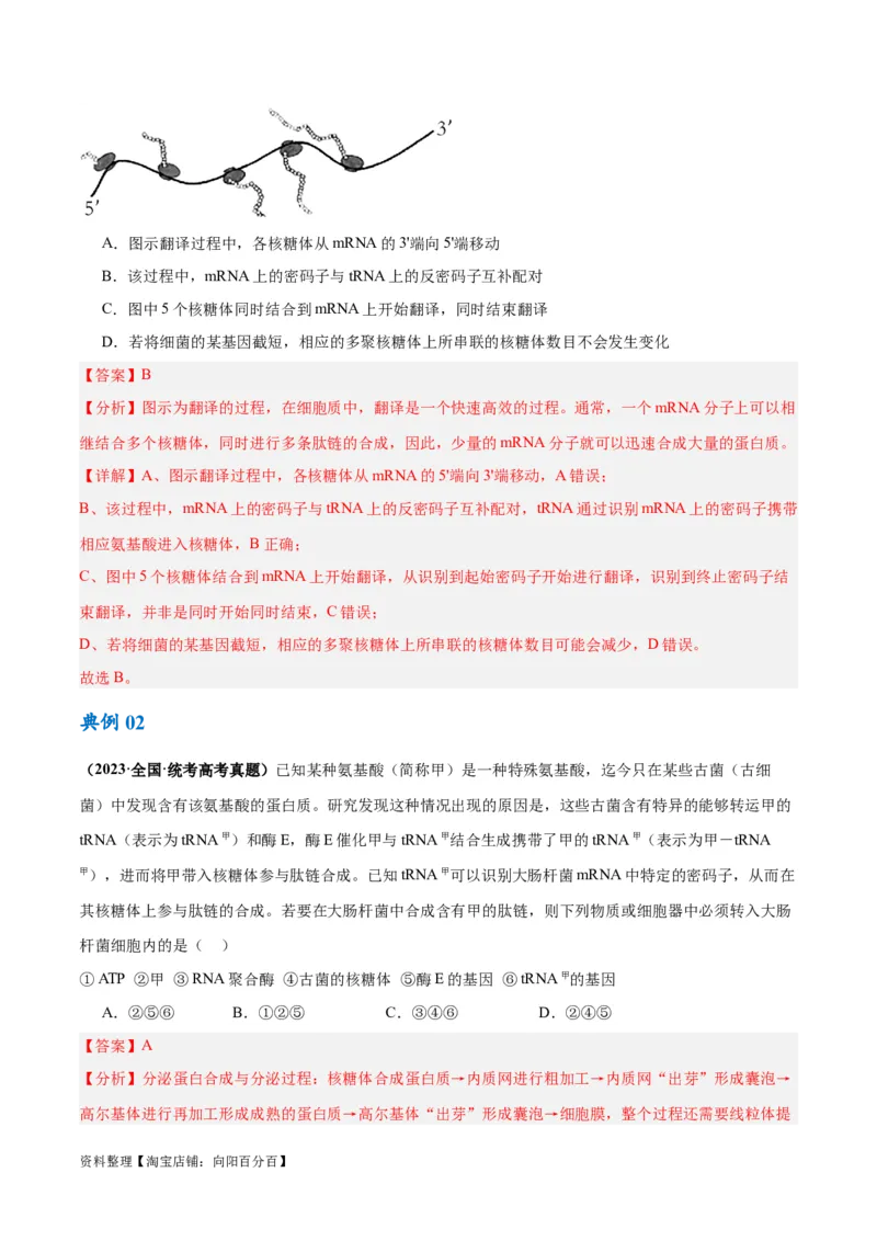 专题05遗传的分子基础（讲义）（解析版）_新高考复习资料_2024年新高考复习资料_二轮复习资料_高频考点解密2024年高考生物二轮复习高频考点追踪与预测（新高考专用）_讲义