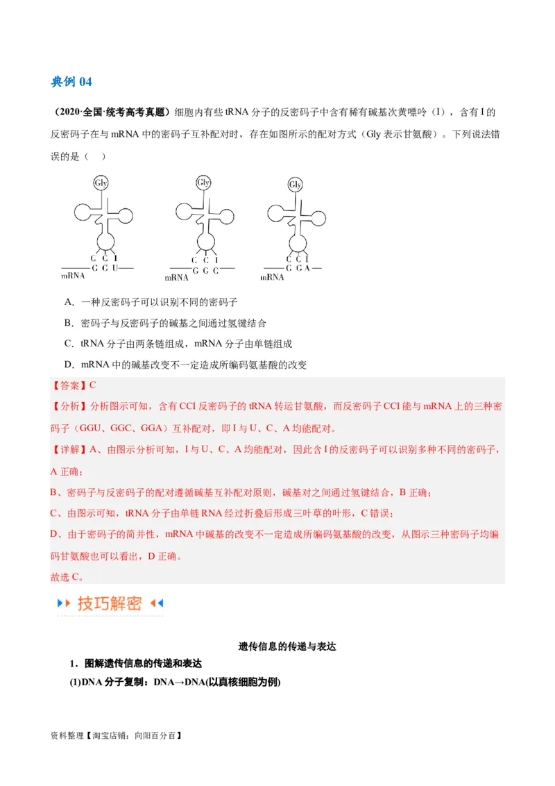 专题05遗传的分子基础（讲义）（解析版）_新高考复习资料_2024年新高考复习资料_二轮复习资料_高频考点解密2024年高考生物二轮复习高频考点追踪与预测（新高考专用）_讲义