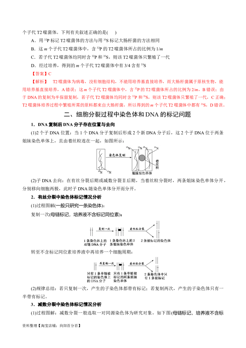 专题05遗传的分子基础（讲义）（解析版）_新高考复习资料_2024年新高考复习资料_二轮复习资料_高频考点解密2024年高考生物二轮复习高频考点追踪与预测（新高考专用）_讲义