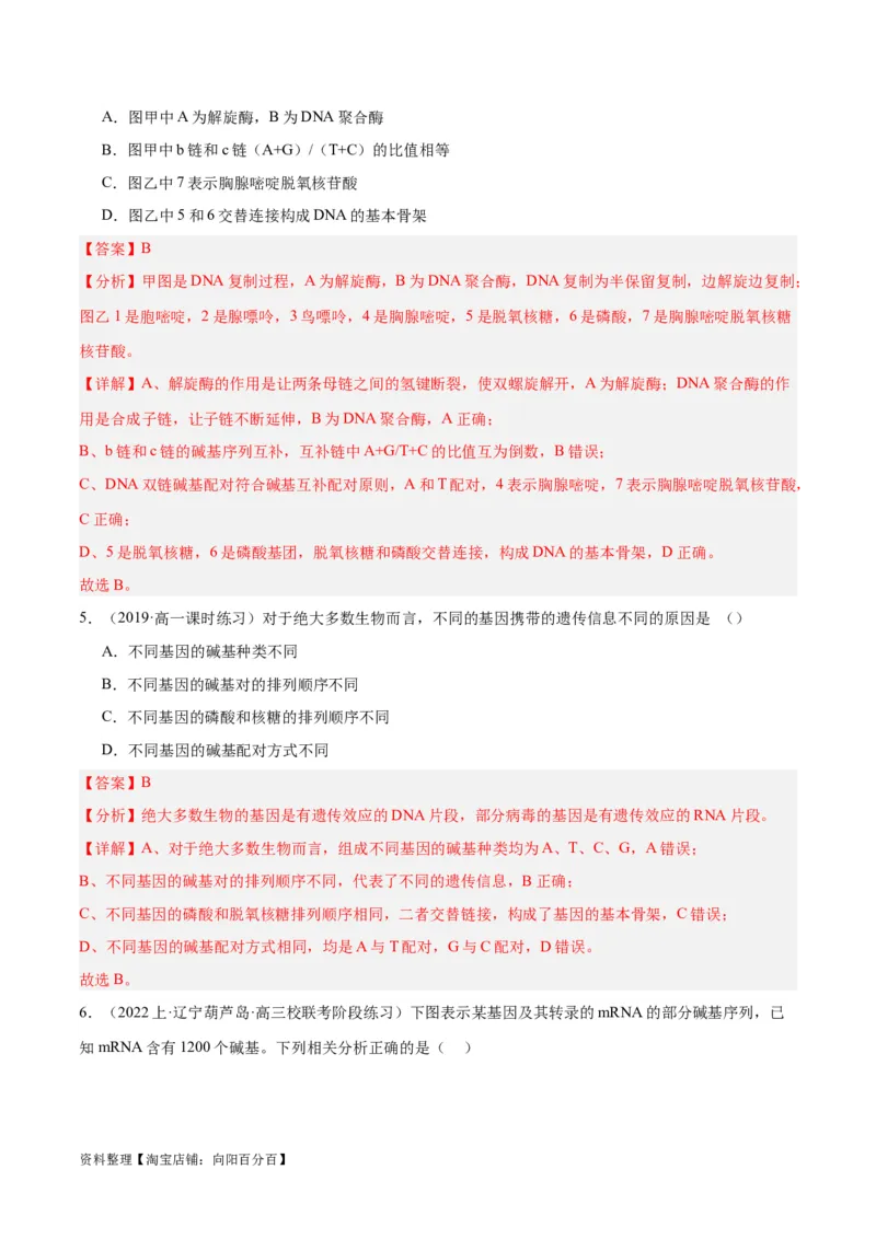 专题05遗传的分子基础（讲义）（解析版）_新高考复习资料_2024年新高考复习资料_二轮复习资料_高频考点解密2024年高考生物二轮复习高频考点追踪与预测（新高考专用）_讲义