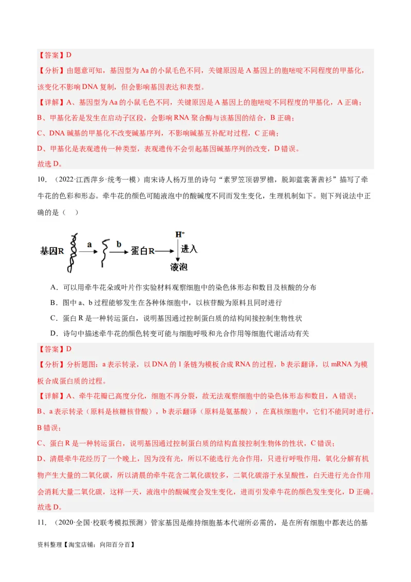 专题05遗传的分子基础（讲义）（解析版）_新高考复习资料_2024年新高考复习资料_二轮复习资料_高频考点解密2024年高考生物二轮复习高频考点追踪与预测（新高考专用）_讲义