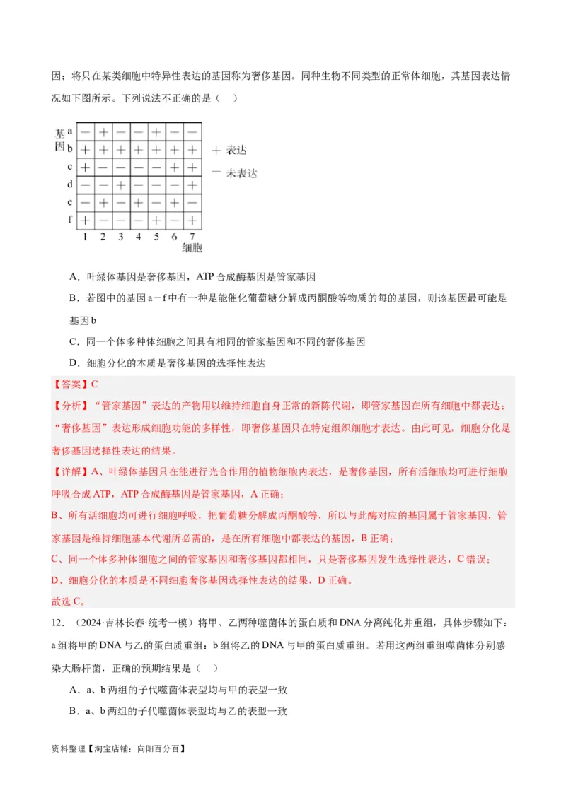 专题05遗传的分子基础（讲义）（解析版）_新高考复习资料_2024年新高考复习资料_二轮复习资料_高频考点解密2024年高考生物二轮复习高频考点追踪与预测（新高考专用）_讲义