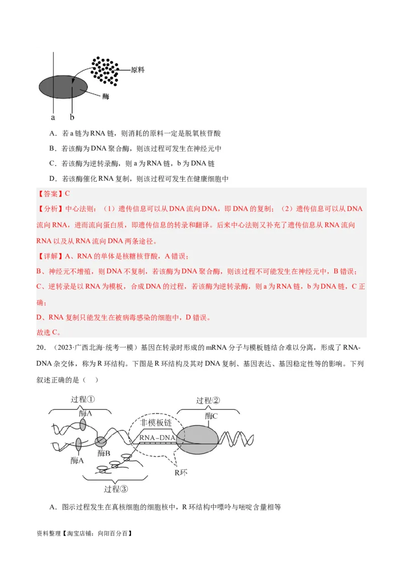 专题05遗传的分子基础（讲义）（解析版）_新高考复习资料_2024年新高考复习资料_二轮复习资料_高频考点解密2024年高考生物二轮复习高频考点追踪与预测（新高考专用）_讲义
