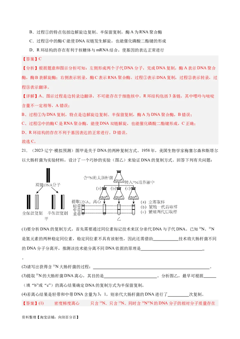 专题05遗传的分子基础（讲义）（解析版）_新高考复习资料_2024年新高考复习资料_二轮复习资料_高频考点解密2024年高考生物二轮复习高频考点追踪与预测（新高考专用）_讲义