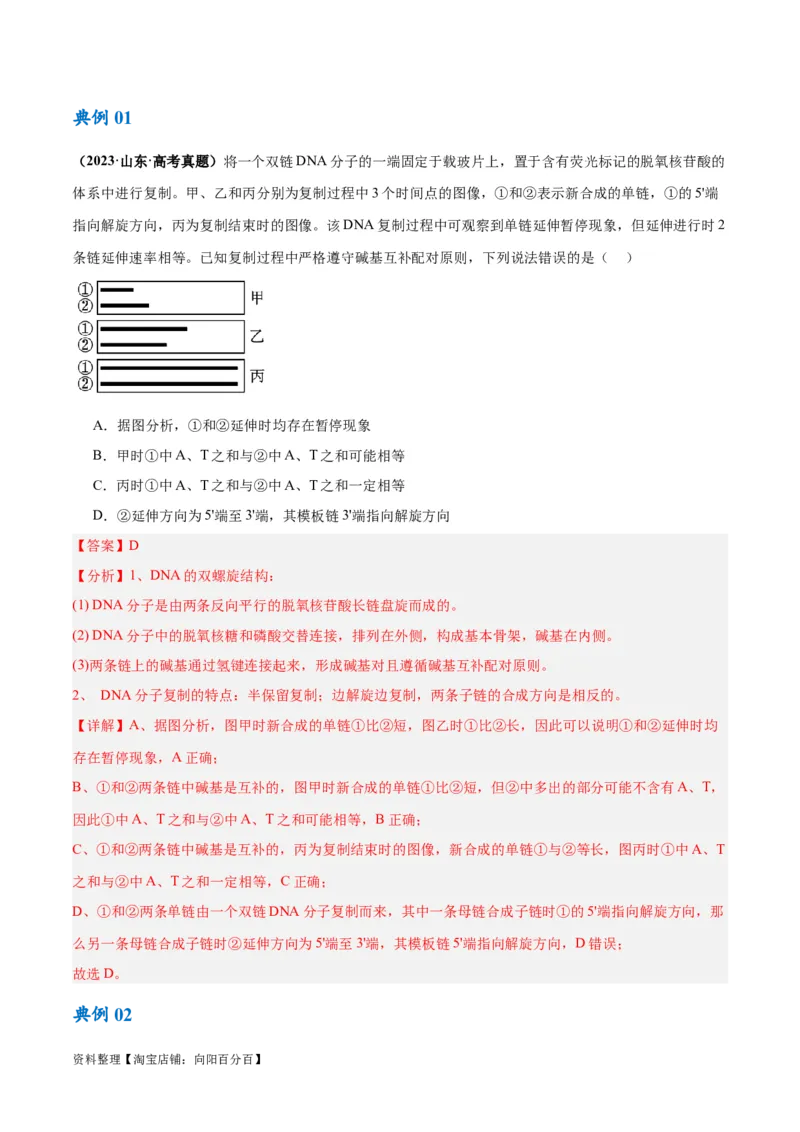 专题05遗传的分子基础（讲义）（解析版）_新高考复习资料_2024年新高考复习资料_二轮复习资料_高频考点解密2024年高考生物二轮复习高频考点追踪与预测（新高考专用）_讲义