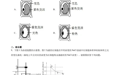 考点通关卷07物质运输（原卷版）_2024年新高考资料_1.2024一轮复习_2024年高考生物一轮复习考点通关卷（新高考通用）_考点通关卷07+物质运输-2024年高考生物一轮复习考点通关卷