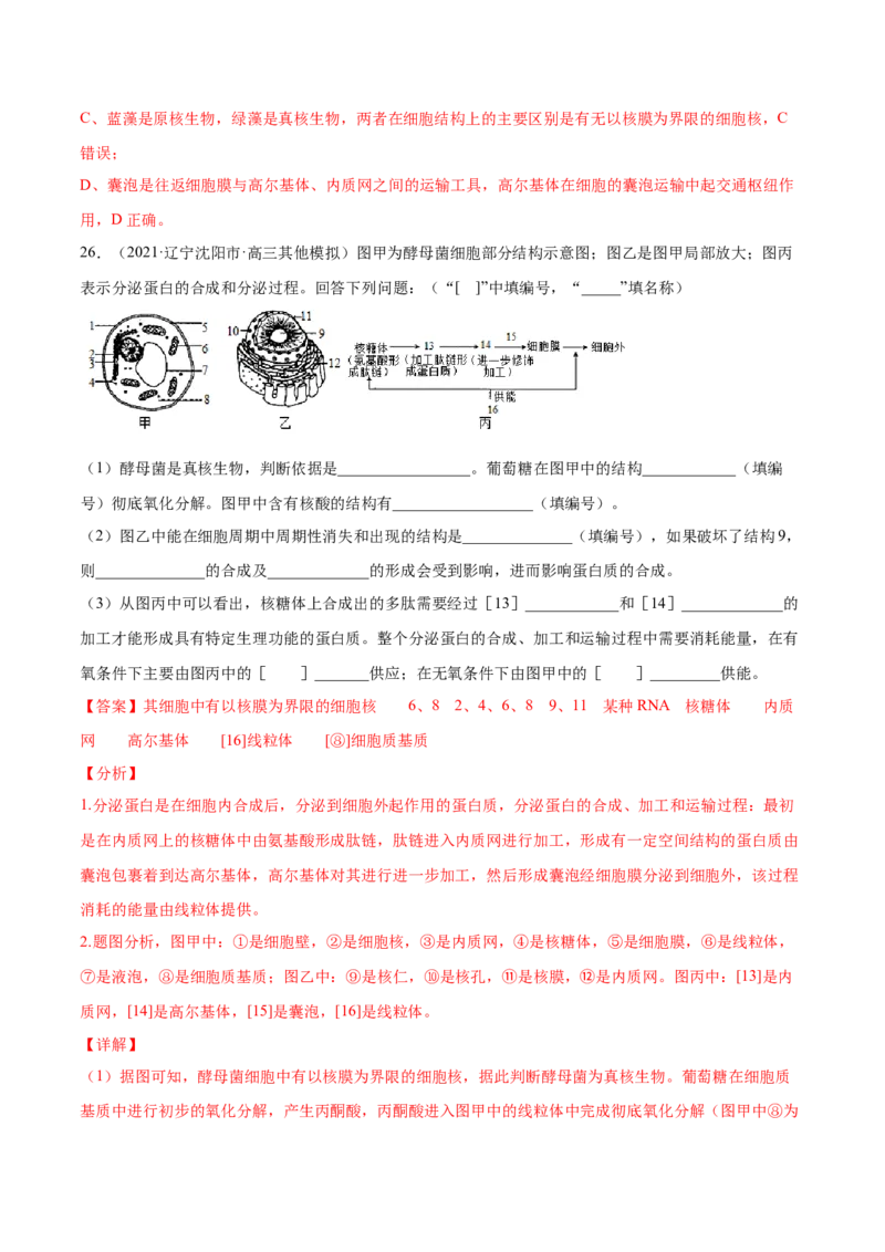 专题01细胞的结构与分子组成-2021年高考真题和模拟题生物分项汇编（解析版）_新高考复习资料_2022年新高考复习资料_2021年高考真题和模拟题生物分项汇编7.30更新
