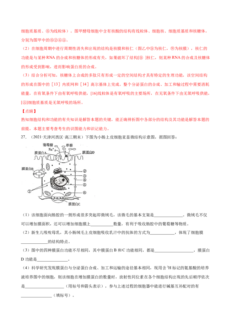 专题01细胞的结构与分子组成-2021年高考真题和模拟题生物分项汇编（解析版）_新高考复习资料_2022年新高考复习资料_2021年高考真题和模拟题生物分项汇编7.30更新