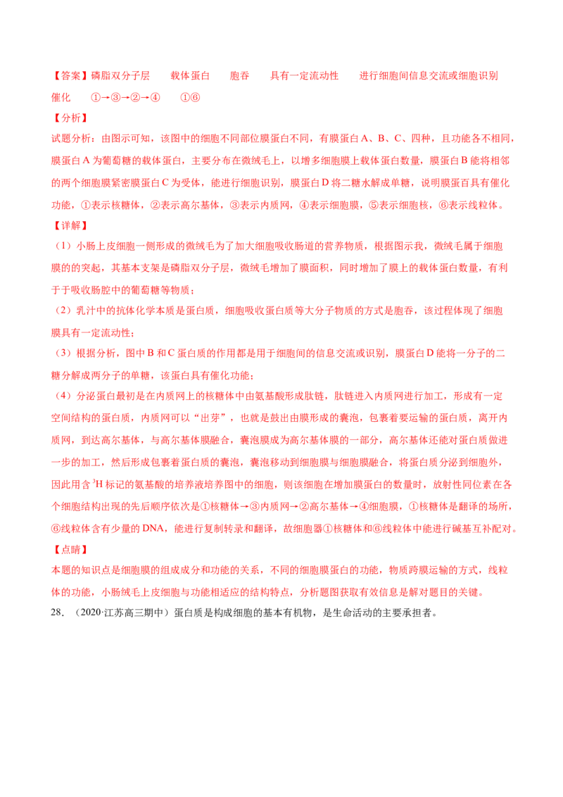 专题01细胞的结构与分子组成-2021年高考真题和模拟题生物分项汇编（解析版）_新高考复习资料_2022年新高考复习资料_2021年高考真题和模拟题生物分项汇编7.30更新