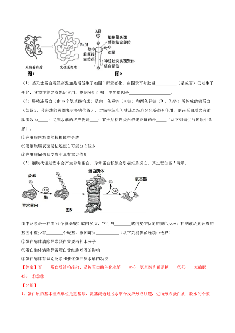 专题01细胞的结构与分子组成-2021年高考真题和模拟题生物分项汇编（解析版）_新高考复习资料_2022年新高考复习资料_2021年高考真题和模拟题生物分项汇编7.30更新