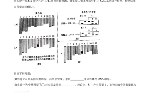 专题07基因的分离定律-2021年高考生物真题与模拟题分类训练（教师版含解析）_新高考复习资料_2023年新高考复习资料_一轮复习_2023年新高考大一轮复习讲义