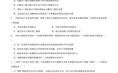 考点通关卷14细胞分化、衰老、凋亡和癌变（原卷版）_2024年新高考资料_1.2024一轮复习_2024年高考生物一轮复习考点通关卷（新高考通用）