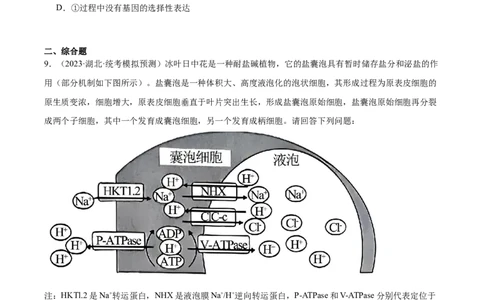 考点通关卷14细胞分化、衰老、凋亡和癌变（原卷版）_2024年新高考资料_1.2024一轮复习_2024年高考生物一轮复习考点通关卷（新高考通用）