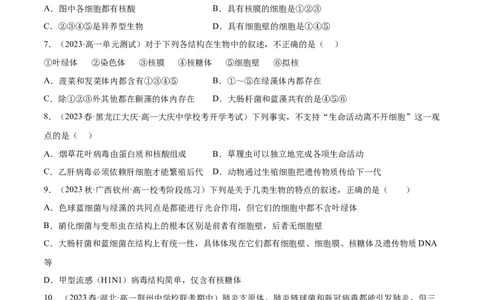 第一单元细胞的概述及其分子组成（原卷版）_2024年新高考资料_1.2024一轮复习_2024年高考生物一轮复习讲练测（新教材新高考）